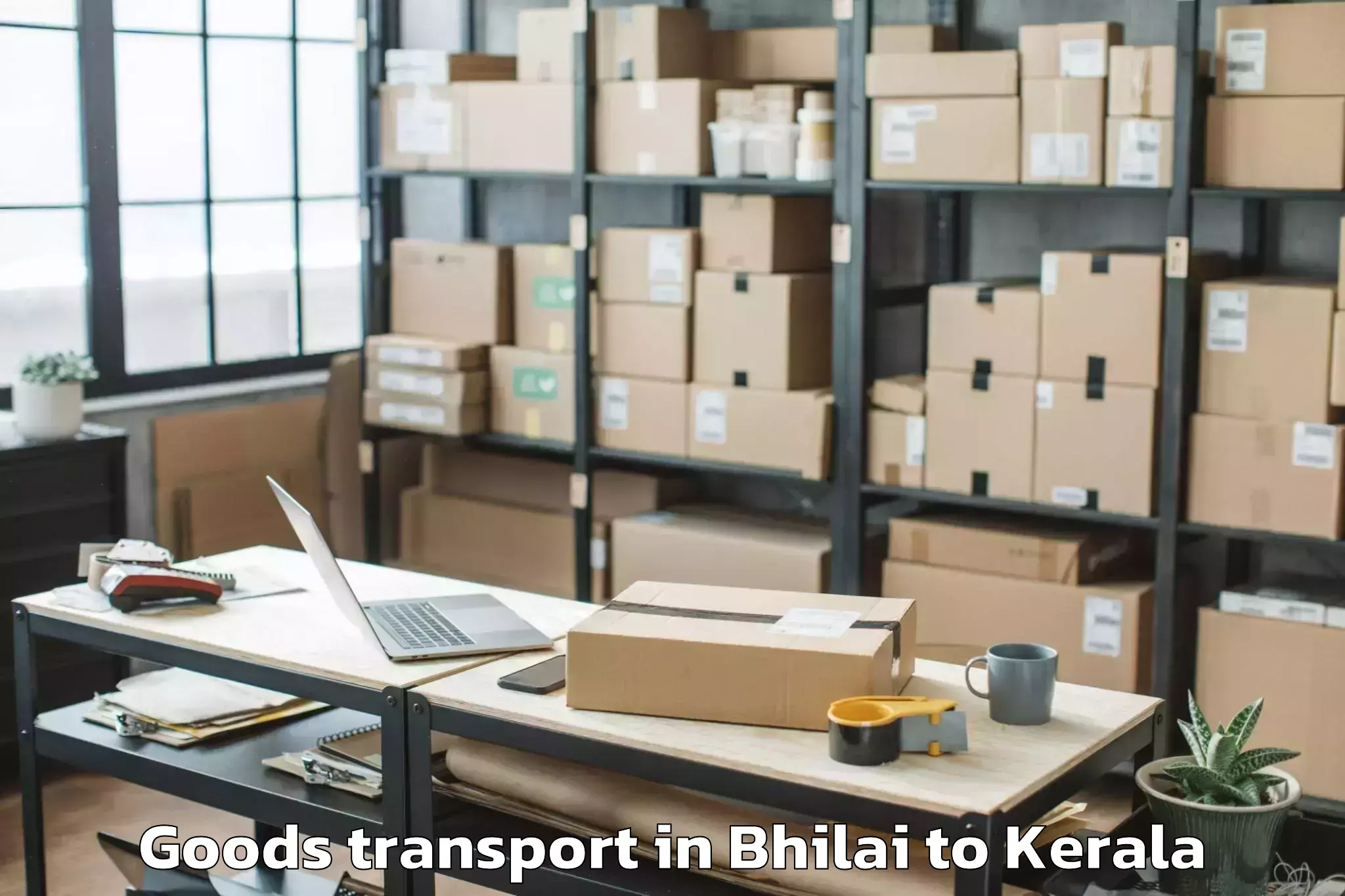 Leading Bhilai to Naduvannur Goods Transport Provider